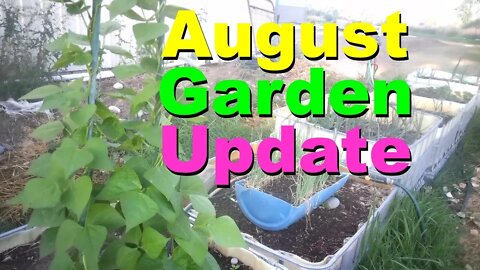 No. 724 – August Indoor And Outdoor Garden Update