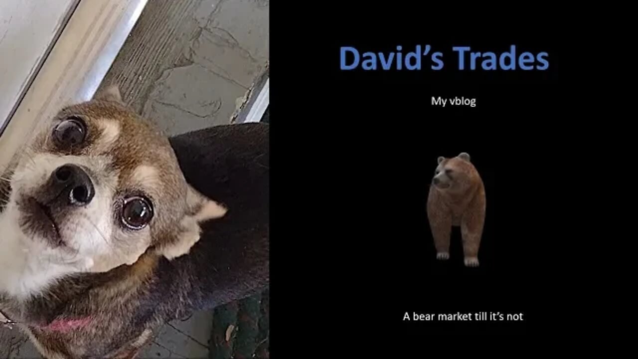 Rolled NIO and DVN and received a total of $103.00 in premiums