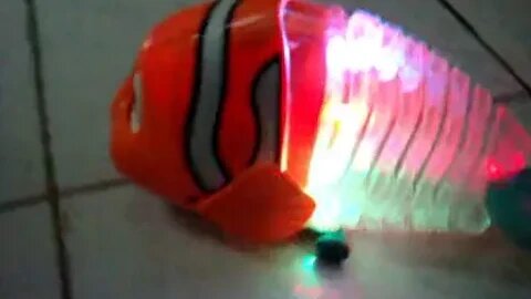 Bump n Go Clownfish