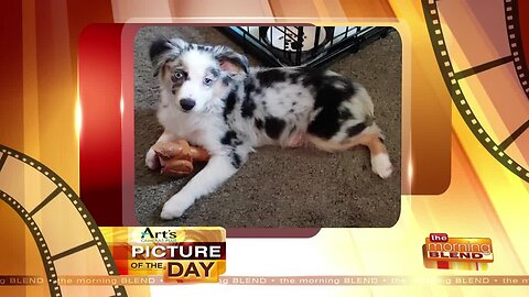 Art's Cameras Plus Picture of the Day for September 23!