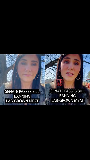 Lab Grown Meat Banned In Alabama?