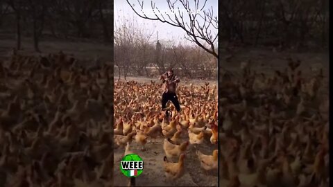 Weeeeeey funny #shorts