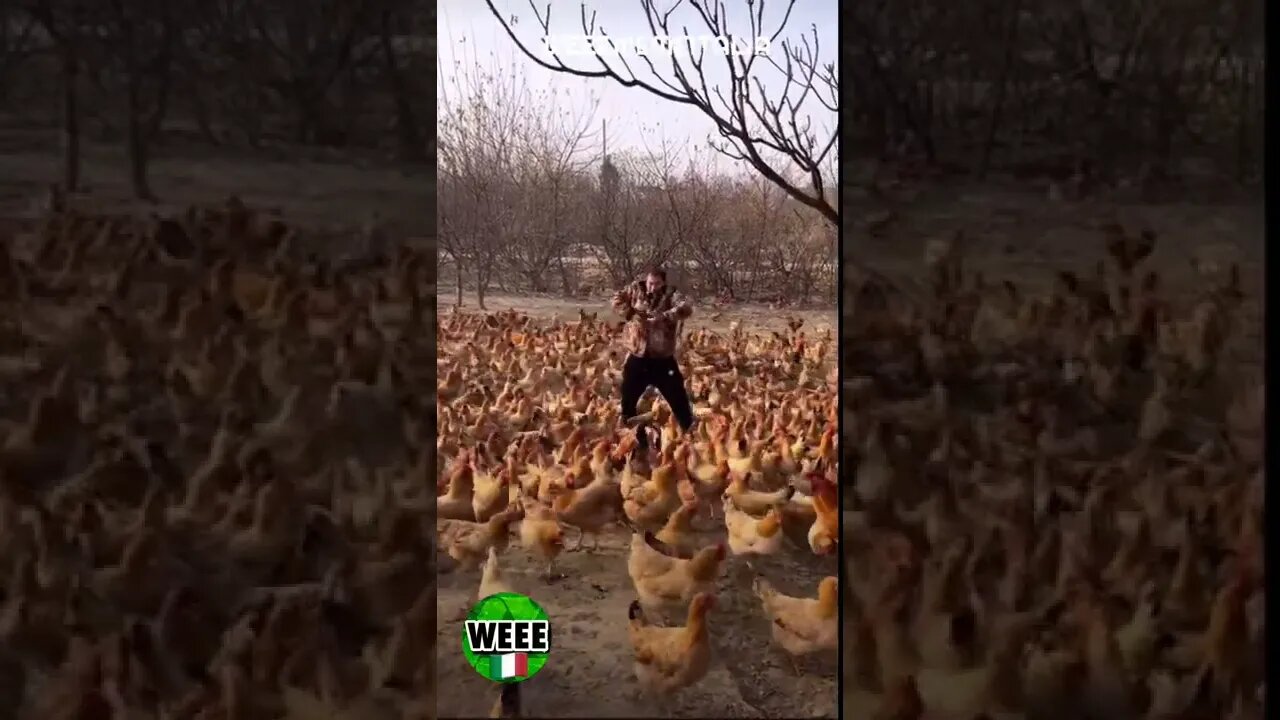 Weeeeeey funny #shorts