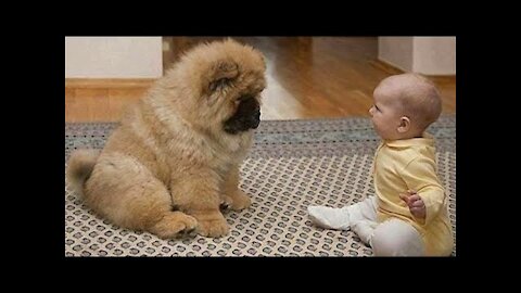 Baby thinks eating ice cream is absolutely hysterical dog