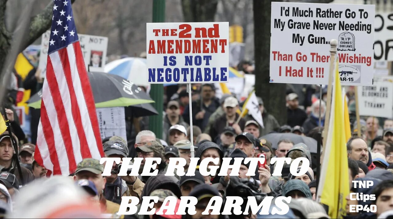 The Right To Bear Arms TNP Clips EP40