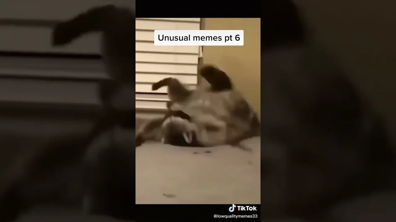 Unusual Memes Pt6 tiktok lowqualitymemes33