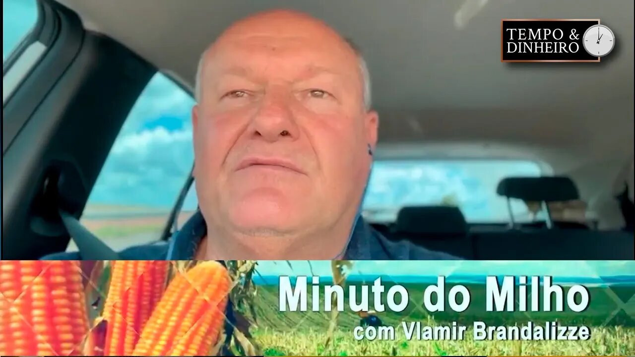 Milho com Boa Demanda