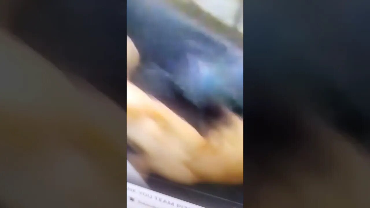 Tony Pizza Shower Time