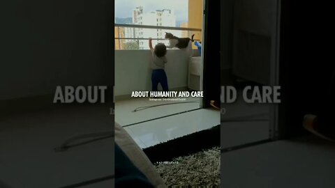 👌💯🥺🐈‍⬛ Credits to Motivation0To100 on Instagram #shorts #shortsvideo #cat #baby #love #life