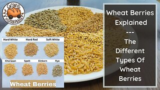 The Wheat Berry Explained | The Different Types Of Wheat Berries