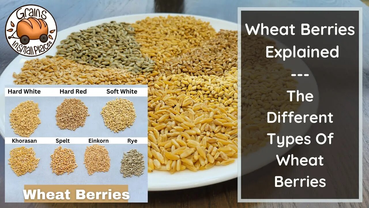 The Wheat Berry Explained | The Different Types Of Wheat Berries