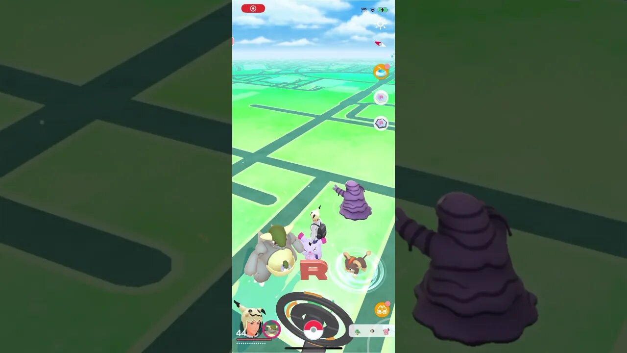 Shiny Compilation