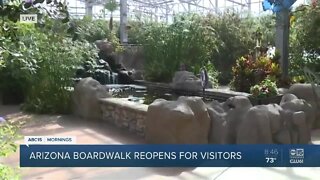 Things To Do: Butterfly Wonderland reopens with safety measures in place