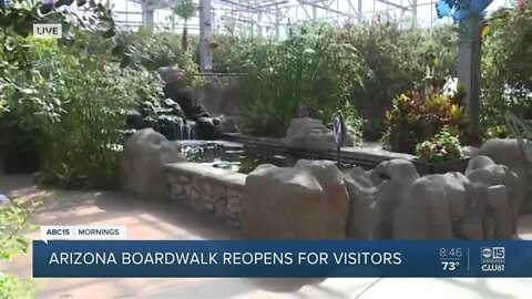 Things To Do: Butterfly Wonderland reopens with safety measures in place