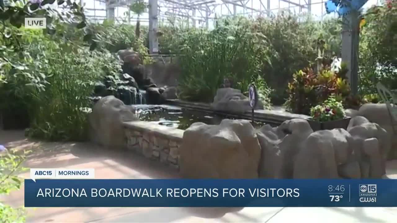 Things To Do: Butterfly Wonderland reopens with safety measures in place