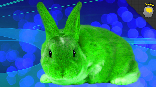 Stuff to Blow Your Mind: Why the Jade Rabbit Lunar Lander Made You Cry - Science on the Web
