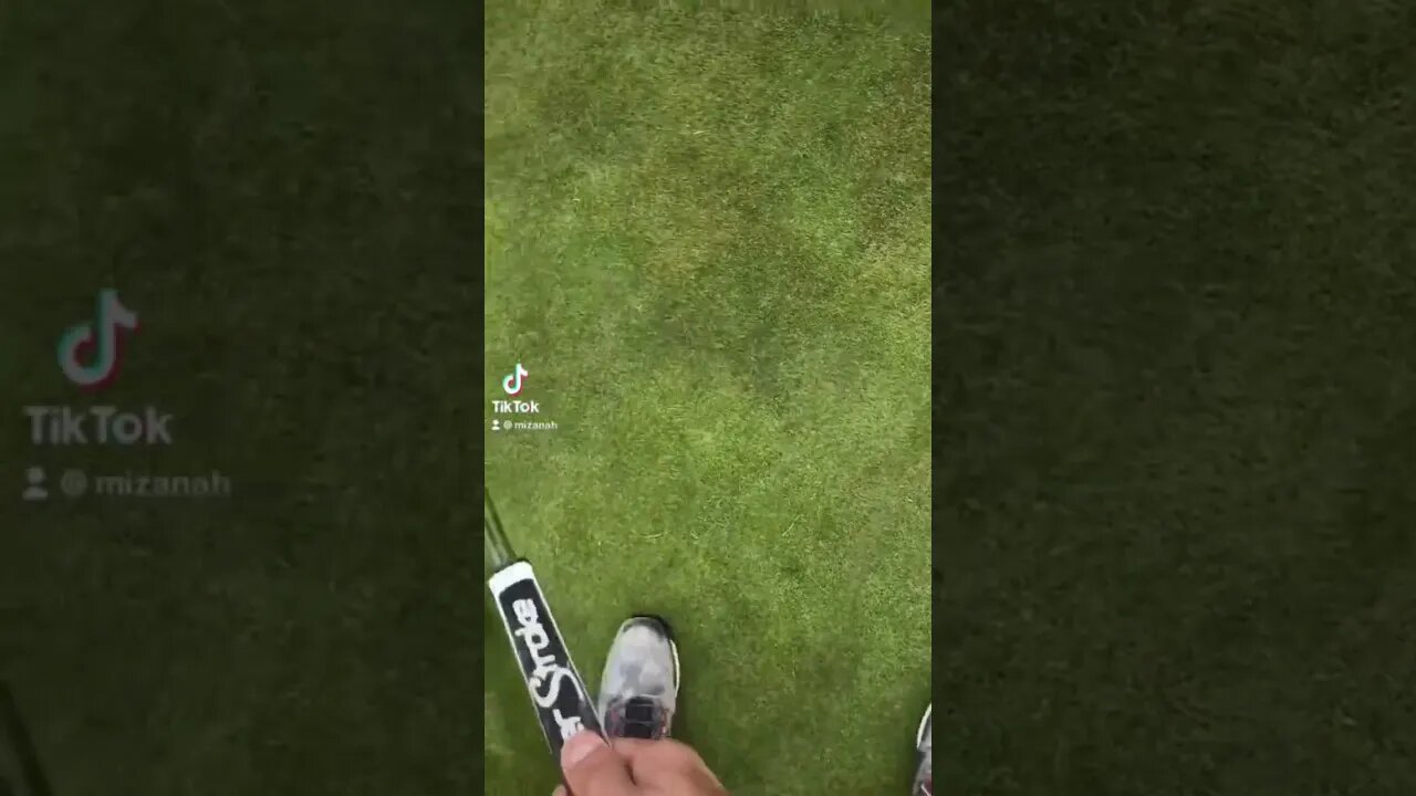 I Play Golf One Handed