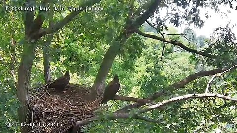 Hays Eagles H19 & H20 react to Mom/Dad flyby? and squee in 2-part harmony-so sweet! 07-06-2023 15:40