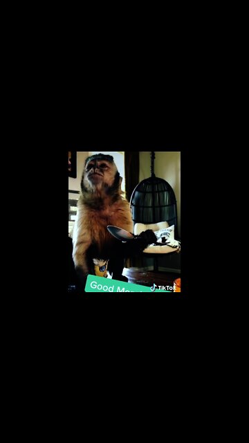 Good Morning! #Shorts