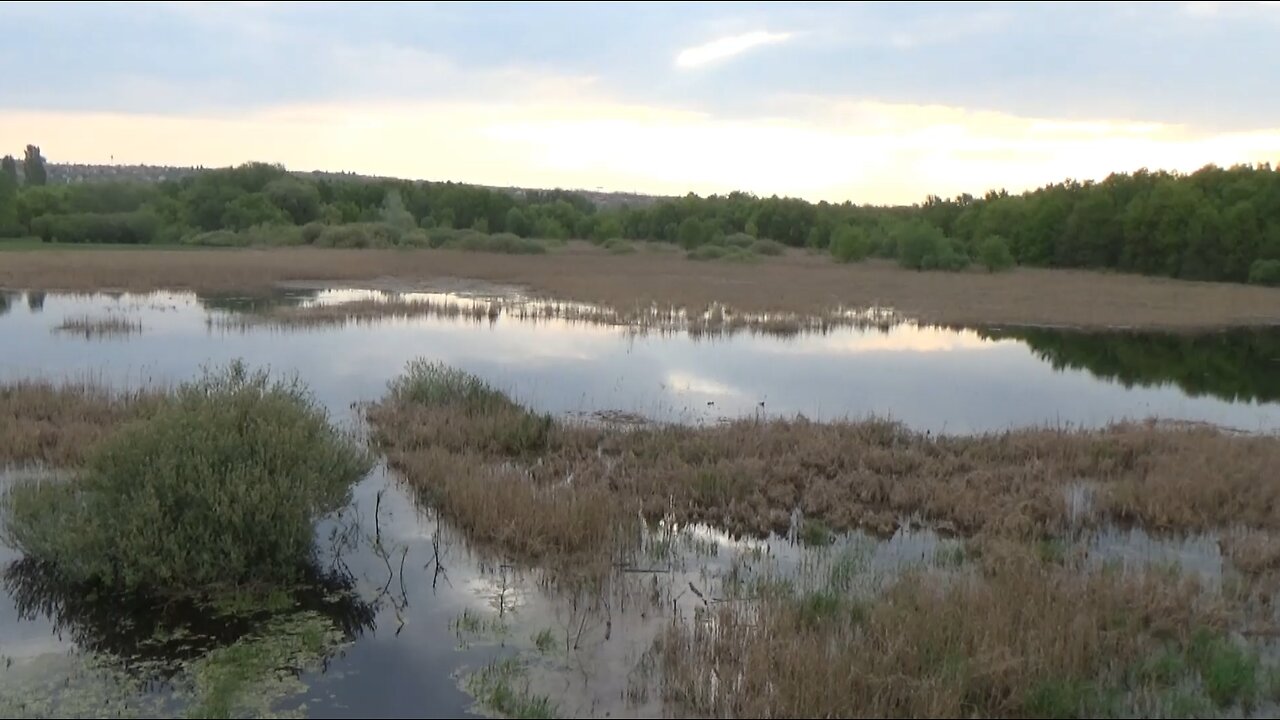 A Merzse mocsár körül belül