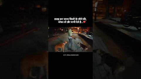 Street Dogs ❤ #religion #enjoyment #love