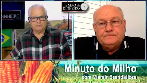 Milho com compradores voltando