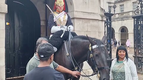 Grabbing the reins and Japanese tourist shows respect #horseguardsparade