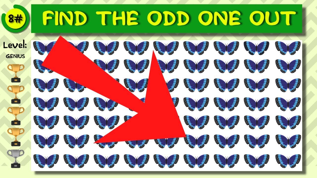 Can YOU find the ODD objects in these pictures? | Eye Test | Brain puzzle