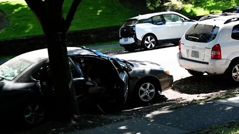 Suggest A Title For This Video In The Comments - From This Landscape DSC 3956