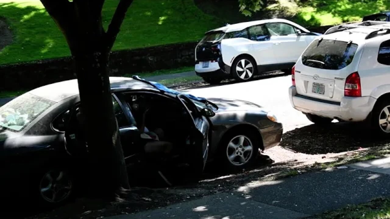 Suggest A Title For This Video In The Comments - From This Landscape DSC 3956