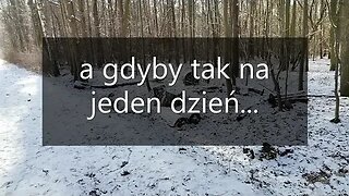 a gdyby tak na jeden dzień...