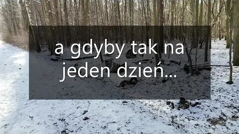 a gdyby tak na jeden dzień...