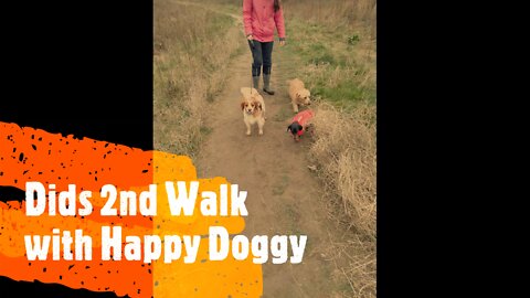 Dids 2nd Walk with Happy Doggy