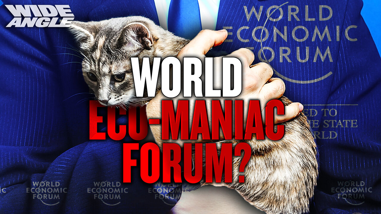 High Times and Hijinks at World Economic Forum 2022 | The Wide Angle