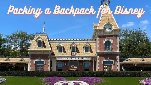 What To Bring In a Bag To Disney | Daypack For Disneyland | Backpack And Purse for Disney World