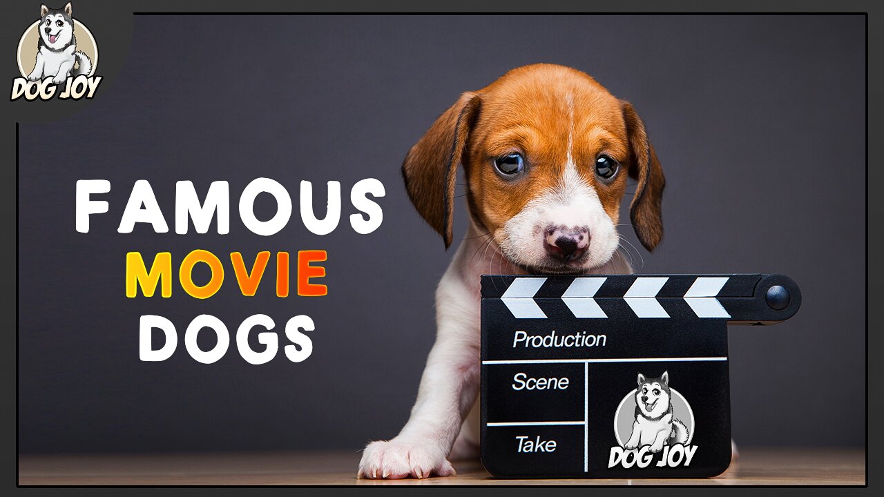 The MOST FAMOUS DOGS - Dog Breeds From the MOVIES