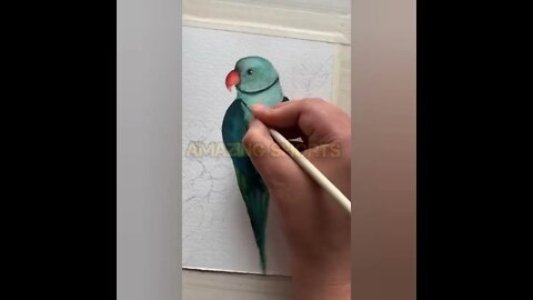 Amazing Drawing Work PARROT #shorts #short #drawing