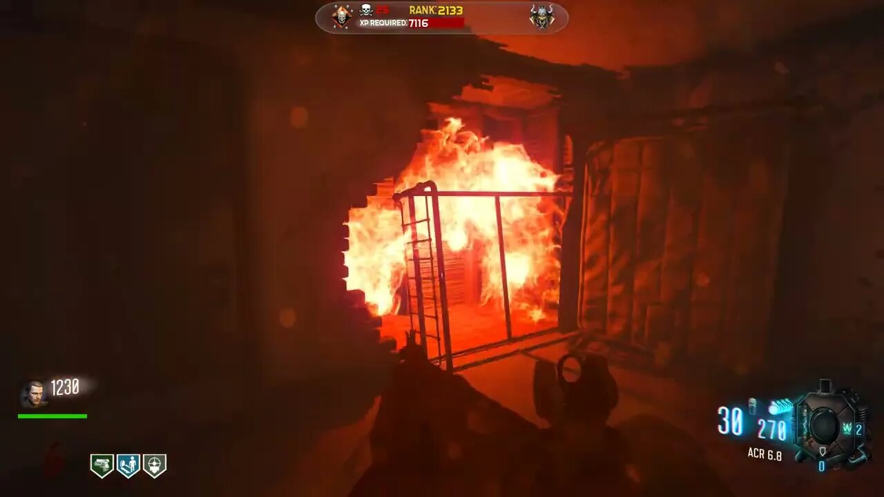 PLAGUE OF EVIL CUSTOM ZOMBIES MAP SHOWCASE