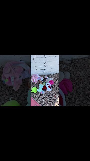 The evictions are saddening when you know it’s kids