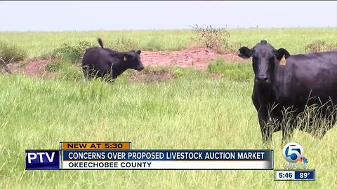 Okeechobee County residents concerned about proposed livestock auction market