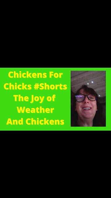 The Fun of Weather and Chickens #shorts