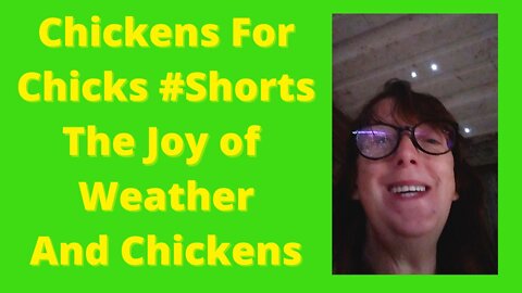 The Fun of Weather and Chickens #shorts