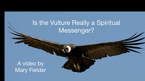 Is the vulture really a spiritual messenger of peace?