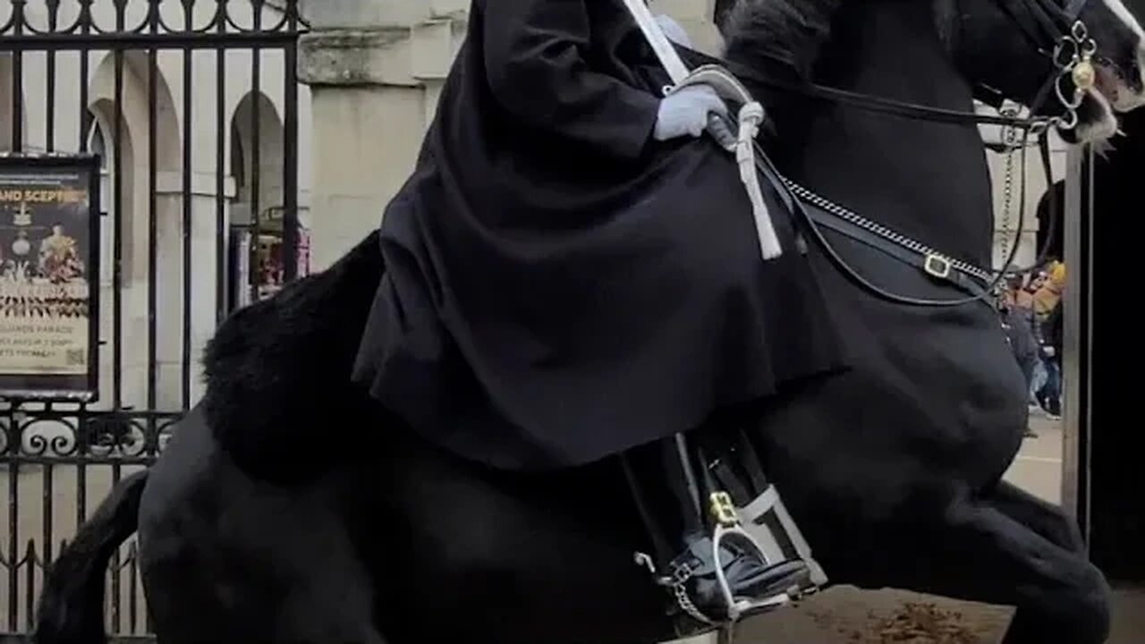 lion heart #horseguardsparade