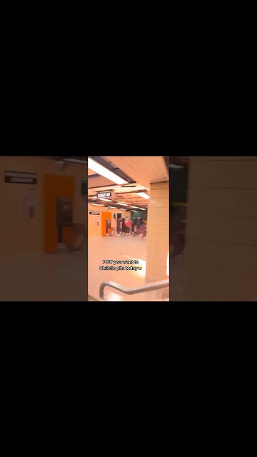 Toronto Christie Pits Firework War🧨