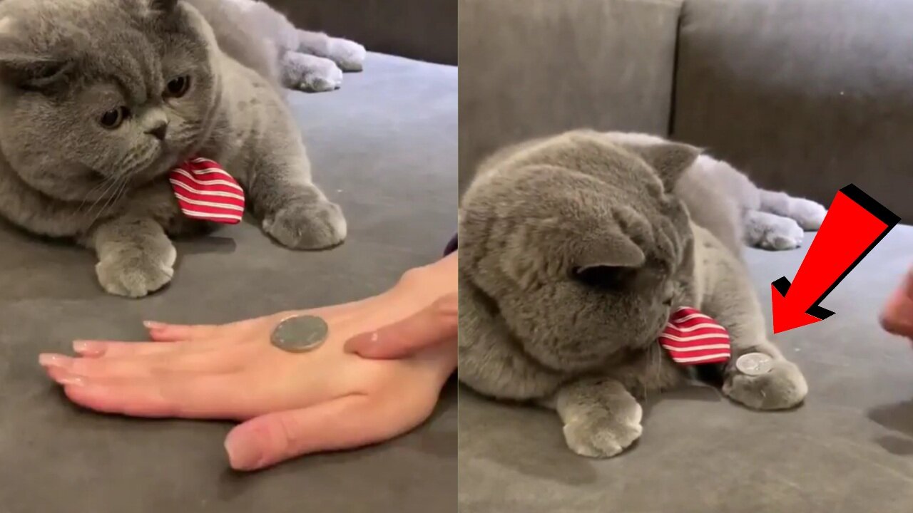 I can do that too!