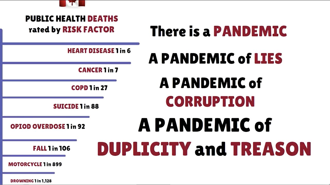 Pandemic of Lies (Updated to 1 Min) - Public Health Deaths