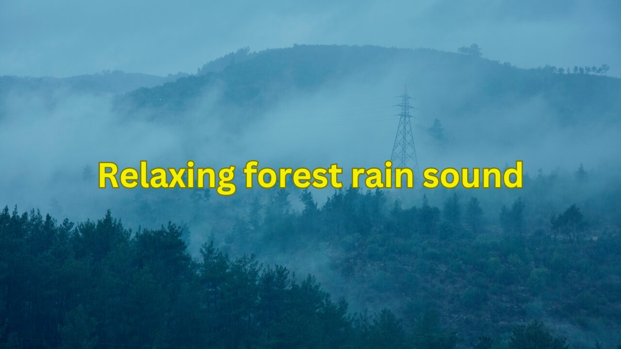 Relaxing forest rain sound!!!ASMR