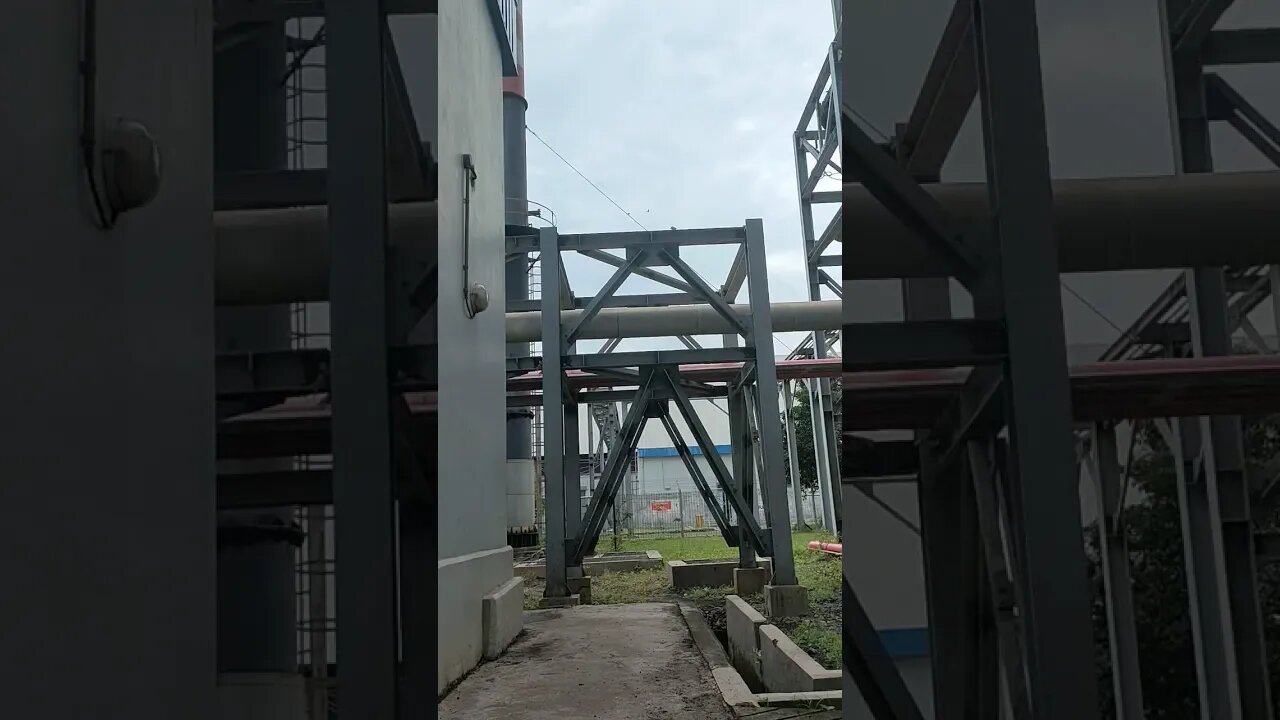 Burung kutilang takut anaknya di ambil...sehat sehat y di musim dingin