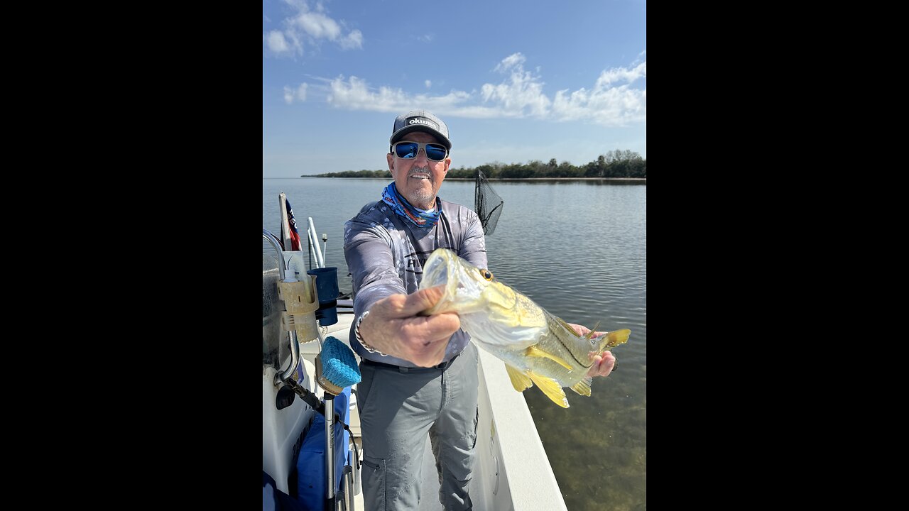 FAF Snook Around the out Islands